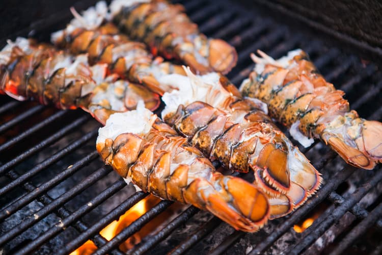 lobster festival with lobsters on a grill florida cbc