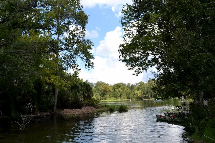 Florida state parks