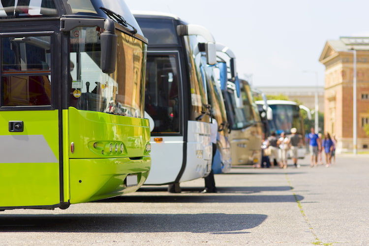 Line up of charter buses.