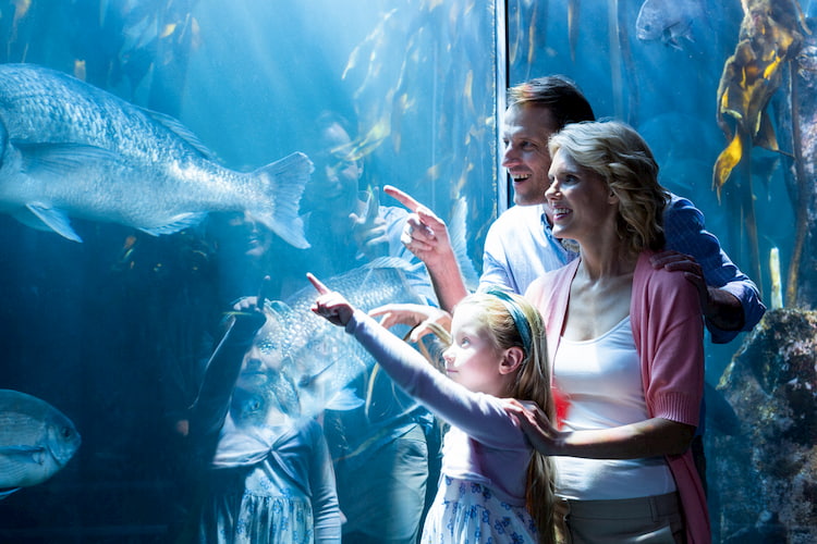Family looking into fish tank at aquarium