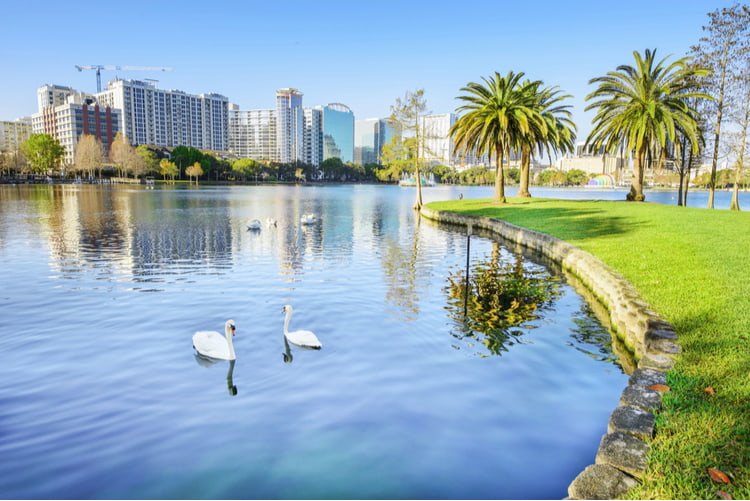 Orlando Florida lake with swans