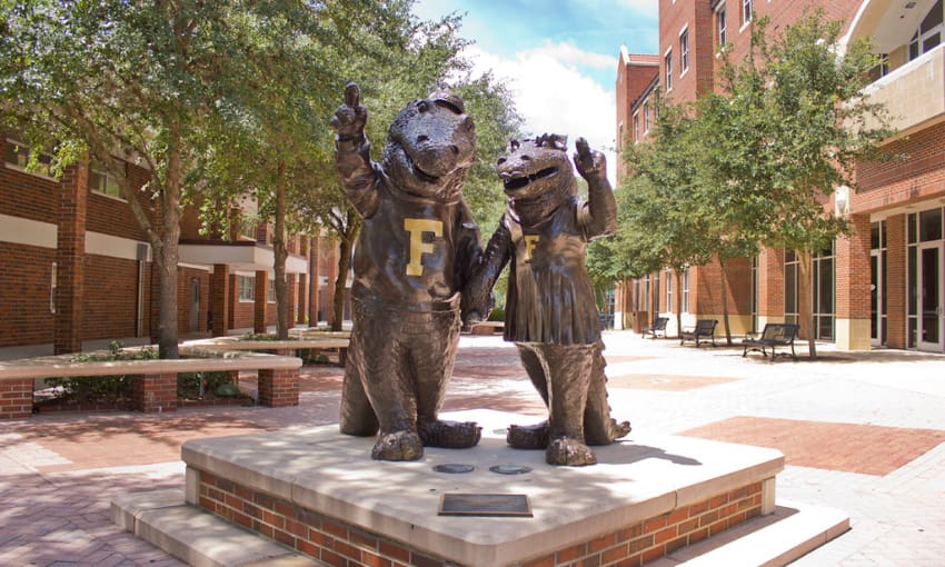 gator mascot statue on the university of florida campus 