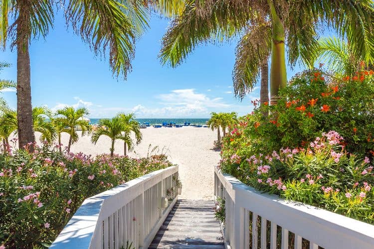 Wood walkway past palm trees and flowers down to beach