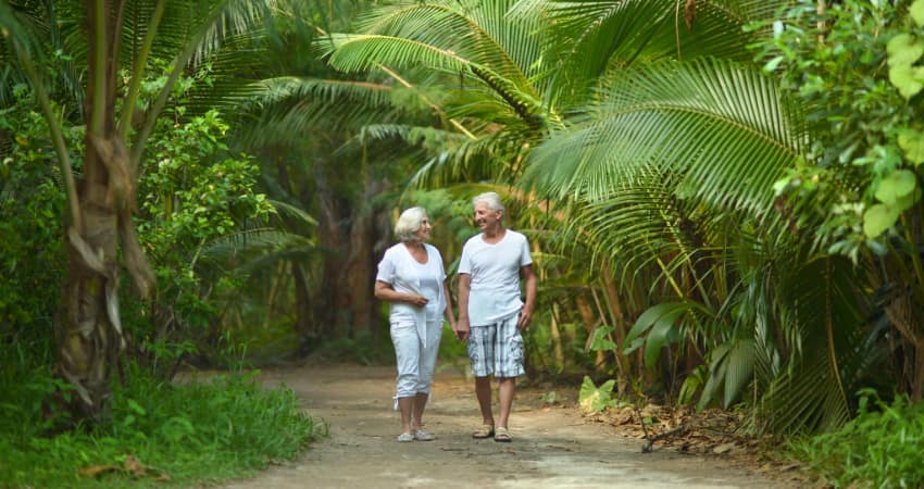 an older couple walk through a garden full of tropical plants