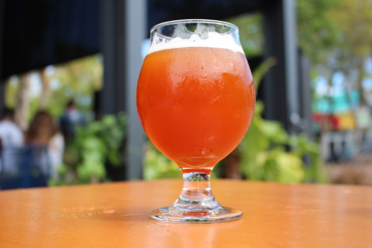 a single beer glass filled with beer on a wood table