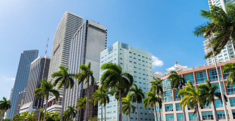 tall, gray miami buildings against a blue sky with palm trees