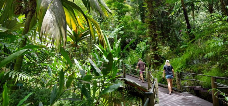 People touring a tropical botanical garden