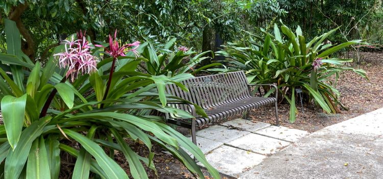 a welcoming, empty bench at the Henry P Leu Gardens in Orlando