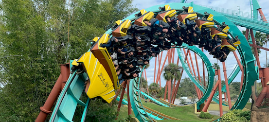 roller coaster at Busch Gardens Tampa Bay